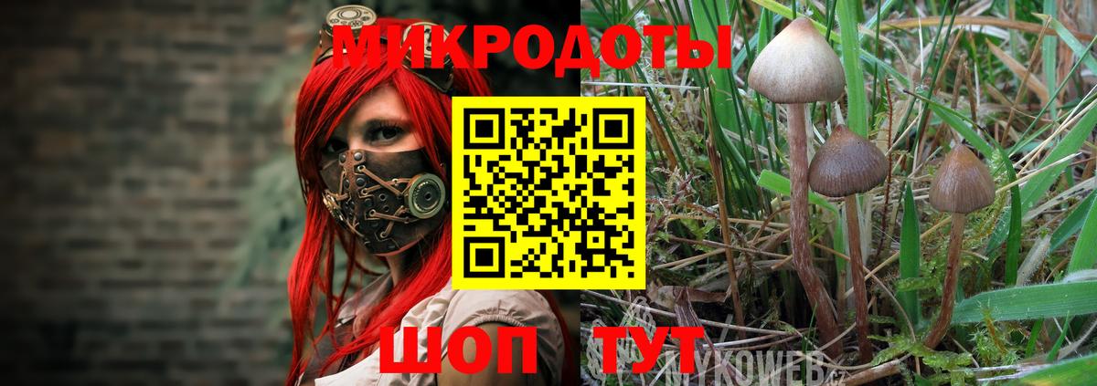 Ижевск  Галлюциногенные грибы Cubensis  Псилоцибиновые грибы Magic Shrooms  Вход с VPN 